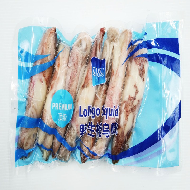 Y&Y Loligo Squid Whole IVP 500g