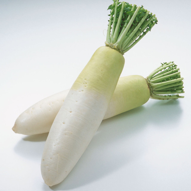 White Radish 1ct