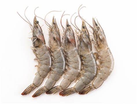 Y&Y Raw Whole Prawn 30/40 2kg